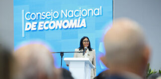 presidenta-consejo-nacional-economi