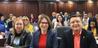 Ley de Salud Mental