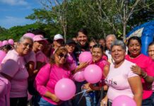 jornada rosa guacara