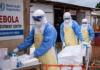 Un ensayo clínico contra el ébola