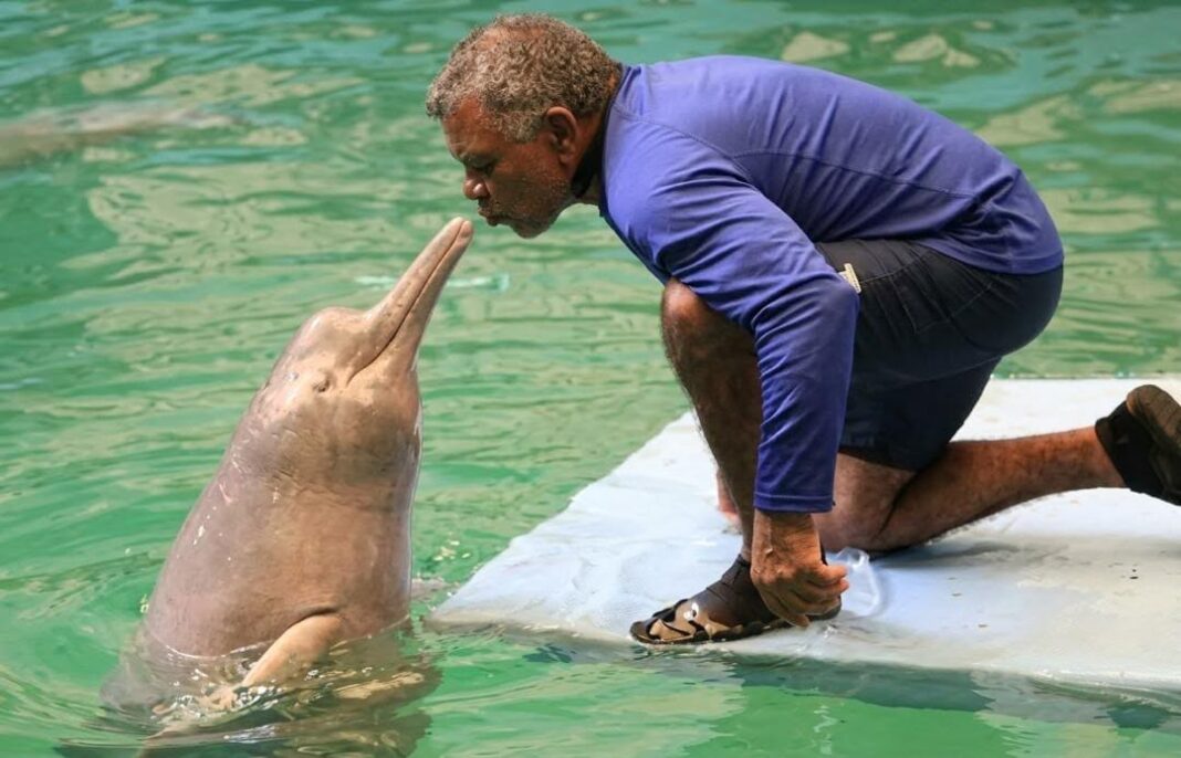 Tonino y tonina en el Aquarium de Valencia