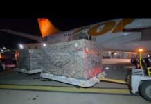 Llega a Venezuela un lote con más de 7 mil antibióticos donados por Italia Antibióticos donados por Italia
