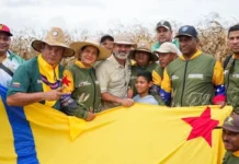 regularizan-hectareas-tierras