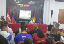 En Valencia debaten Anteproyecto de Ley de Bambú y Bambuáceas bambú