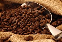 Zafra cafetalera