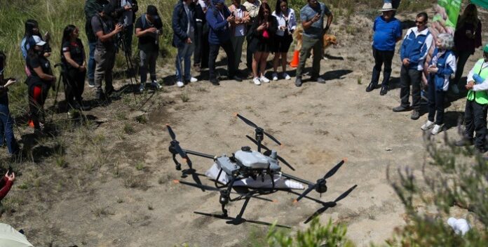 crean-plan-de-reforestacion-con-un-dron crean-plan-de-reforestacion-con-un-dron