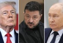Trump: Rusia y Ucrania han acordado una tregua energética, que entra en vigor de inmediato Rusia y Ucrania han acordado una tregua energética