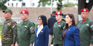 Unidad de Tarea Especial