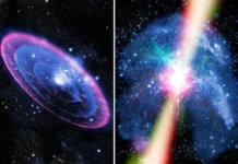 Estrellas zombis sobrevive a su propia muerte el fenómeno astronómico que obliga a reescribir los manuales de astrofísica