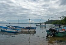 golfo de Nicoya Costa Rica