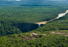 historia sísmica del estado Guayana Esequiba