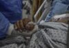 OMS denuncia deterioro en red hospitalaria de Gaza