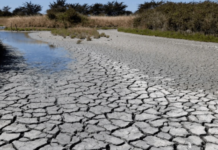 El Gobierno de Perú decretó estado de emergencia por 60 días en 707 distritos distribuidos en 17 departamentos del país, debido al riesgo inminente de déficit hídrico.