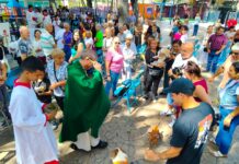 Una emotiva bendición de mascotas se llevó a cabo en la plaza de San Blas