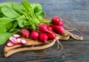 Guía Salud | Hojas de rábano: Beneficios y formas de uso