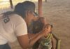 Exitosa jornada de vacunación en Patanemo en el marco del Día Mundial contra la Polio vacunación-polio-poliomielitis-portada